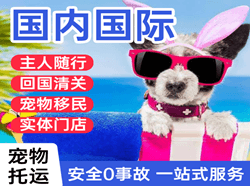 静巴航空物流国际宠物托运 【国